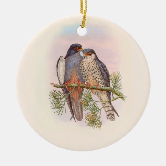 Witvleugelige rode torenvalk keramisch ornament (Voorkant)