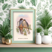 Witvleugelige rode torenvalk poster