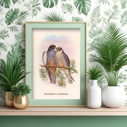 Witvleugelige rode torenvalk poster