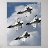 witvogels poster (Voorkant)