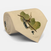 Witvol Sparrow - Amerikaanse vogels van Audubon Stropdas (Opgerold)