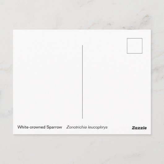 Witvolle mugrog briefkaart (Achterkant)