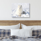 Witvos Canvas Afdruk (Insitu (Slaapkamer))