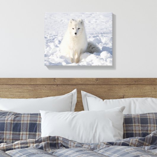 Witvos Canvas Afdruk (Insitu (Slaapkamer))