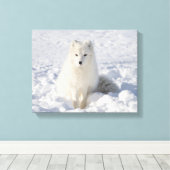 Witvos Canvas Afdruk (Insitu (Houten vloer))