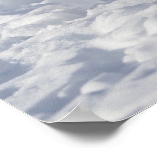 Witvos Poster (Hoek)