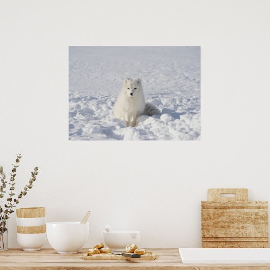 Witvos Poster (Keuken)