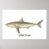 witwijzerhaai poster (Voorkant)