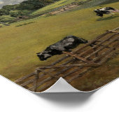 Wivenhoe Park, Essex – John Constable Poster (Hoek)