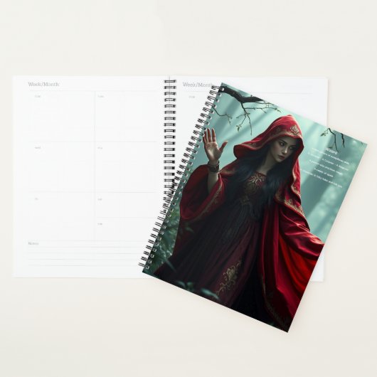 Wizard Agenda (Display)