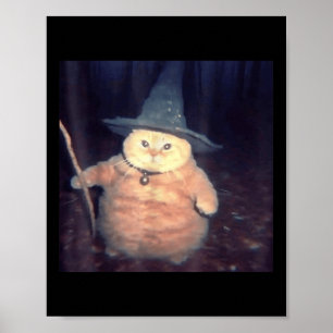 Wizard Cat Halloween Cat Meme _1 Poster