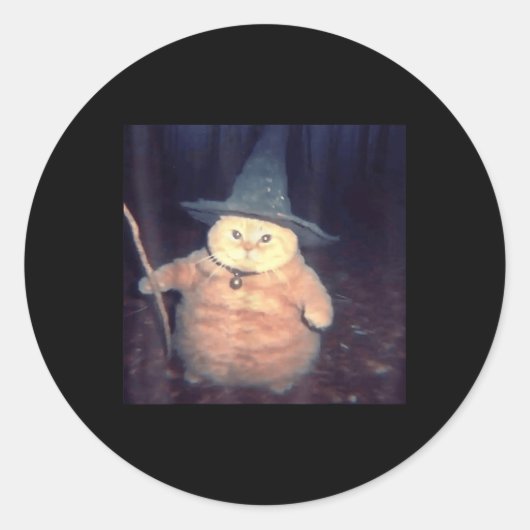 Wizard Cat Halloween Cat Meme _1 Ronde Sticker (Voorkant)