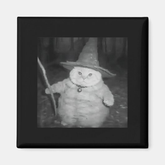 Wizard Cat Weird Funny Halloween Cat Meme Magneet (Voorkant)