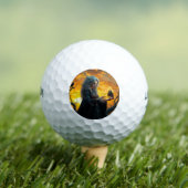 Wizard Golfballen (Insitu Shirt)
