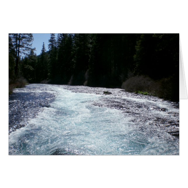 Wizard Herfsten (Voorkant Horizontaal)