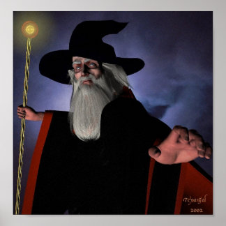 Wizard in zwart poster