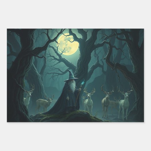 Wizard Inpakpapier Vel (Voorkant 3)