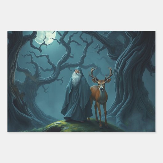 Wizard Inpakpapier Vel (Voorkant 2)