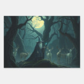 Wizard Inpakpapier Vel (Voorkant 3)