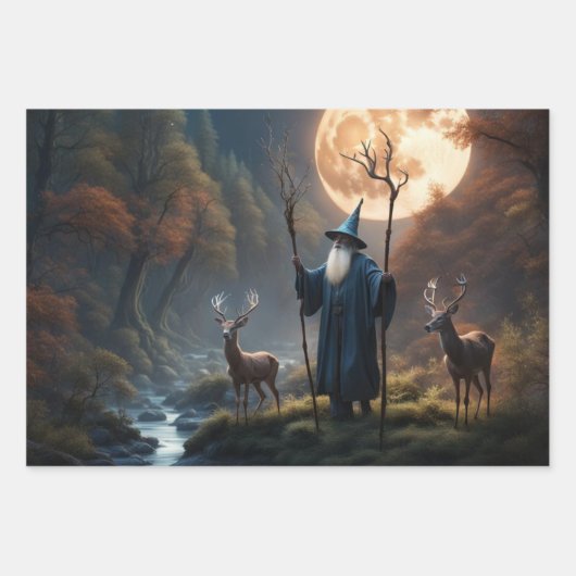 Wizard Inpakpapier Vel (Voorkant)