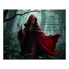 Wizard Perfect Poster