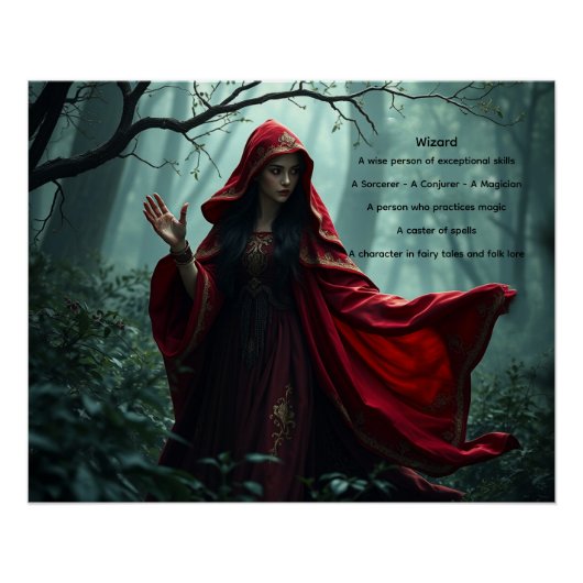 Wizard Perfect Poster (Voorkant)