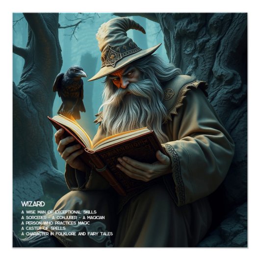 Wizard Perfect Poster (Voorkant)