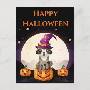 Wizard Raccoon Briefkaart