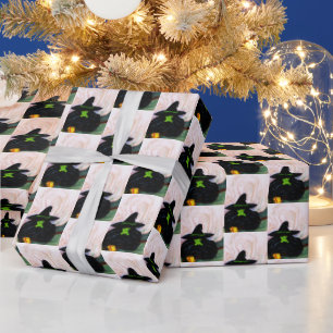 WIZARD VAN OZ MELTING WITCH   CADEAUPAPIER