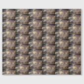 WIZARD VAN OZ-TWISTER    CADEAUPAPIER (Vlak)