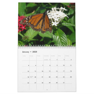 WKS AFBEELDINGEN Kalender