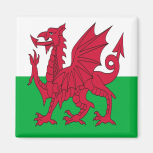 WLS001 VLAG welsh WALES, Fridge Magneet