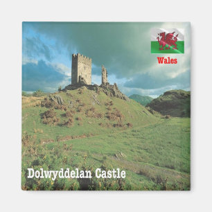 WLS015 DOLWYDDELAN CASTLE, Wales, Europe, Fridge Magneet