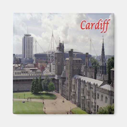 WLS016 CARDIFF, Wales, Europa, Fridge Magneet (Voorkant)