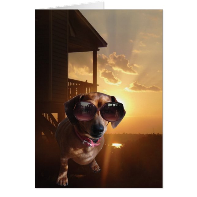 "Woah, die zon is helder," zei Baxter. (Voorkant)