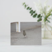 Woah Sparrow! Briefkaart (Staand voorkant)