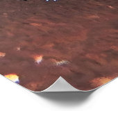 Wobbegong Portrait Poster (Hoek)