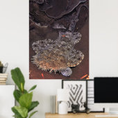 Wobbegong Portrait Poster (Thuiskantoor)