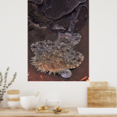 Wobbegong Portrait Poster (Keuken)