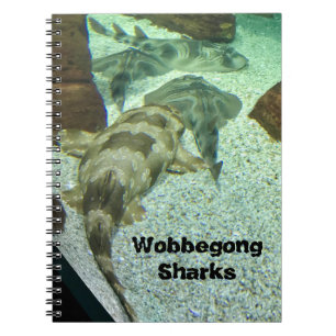Wobbegong Sharks Notitieboek