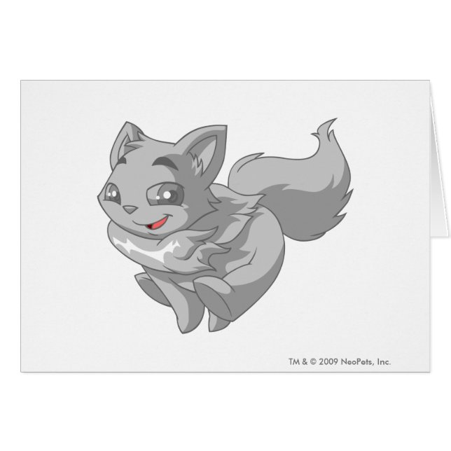 Wocky Silver (Voorkant Horizontaal)