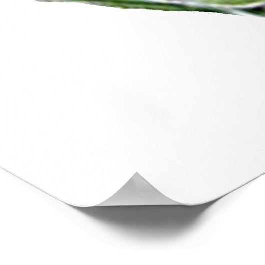 Wodka Limoen POSTER afdrukken (Hoek)