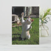 Woest Roofdier Kaart (Staand voorkant)