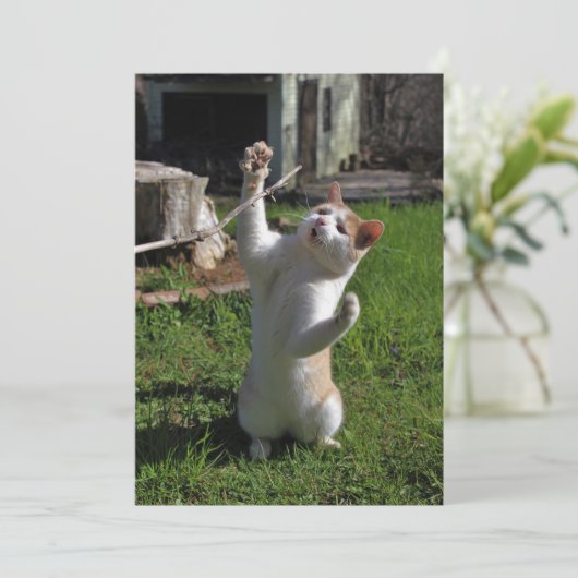 Woest Roofdier Kaart (Staand voorkant)