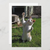 Woest Roofdier Kaart (Voorkant / Achterkant)