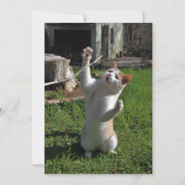 Woest Roofdier Kaart