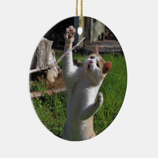 Woest Roofdier Keramisch Ornament (Rechts)