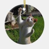 Woest Roofdier Keramisch Ornament (Voorkant)