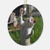 Woest Roofdier Keramisch Ornament (Links)