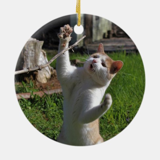 Woest Roofdier Keramisch Ornament (Achterkant)